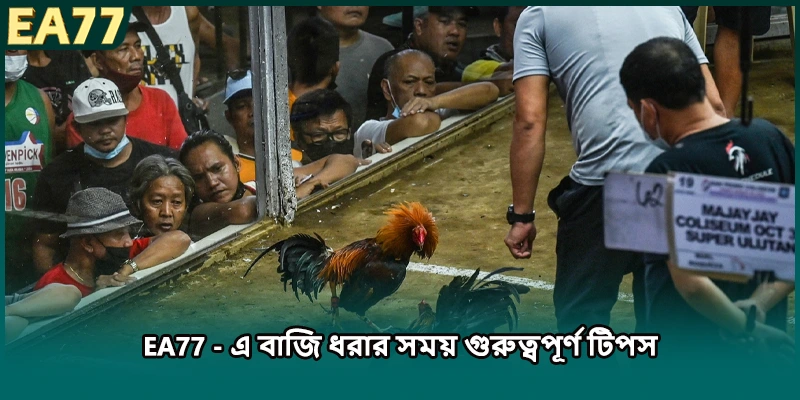 EA77 -এ বাজি ধরার সময় গুরুত্বপূর্ণ টিপস)